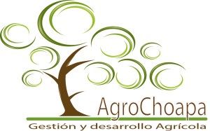 Agro Choapa